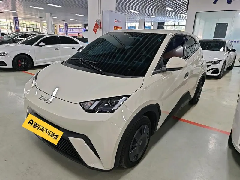 BYD Seagull, 2024