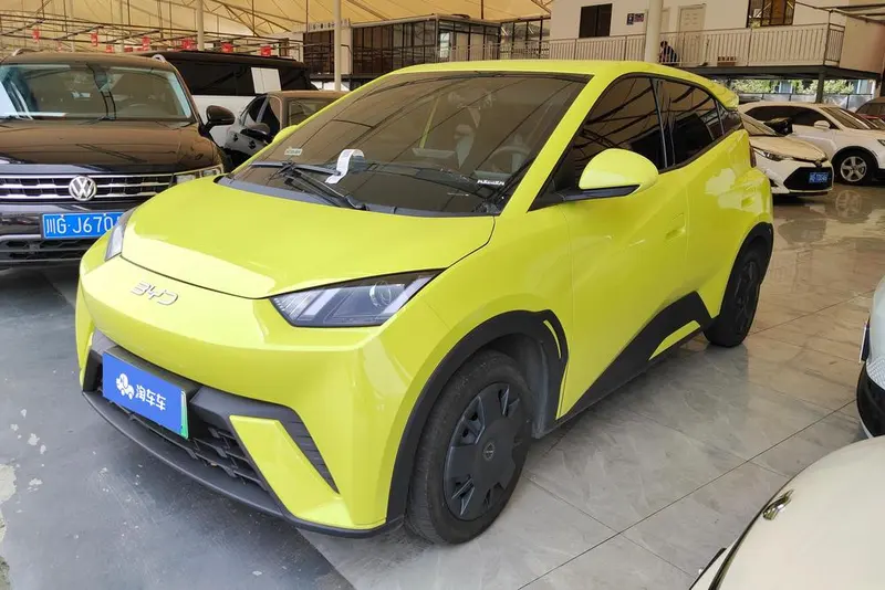 BYD Seagull, 2024