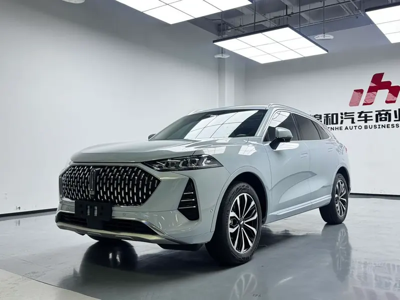 Wey Mocha, 2021