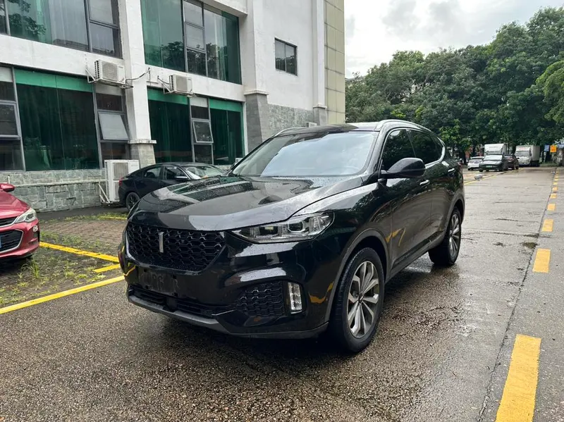 Wey VV6, 2019