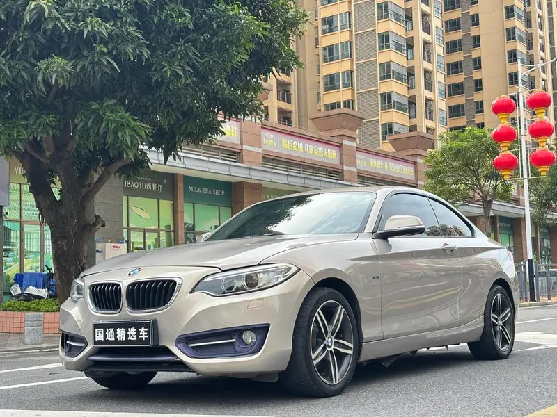 BMW 2-Series (Import), 2014