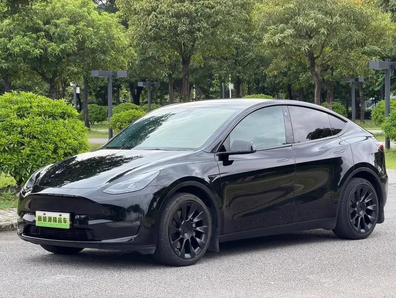 Tesla Model Y Standard Range Edition, 2021 — фото 1