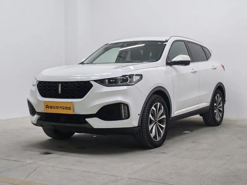 Wey VV6, 2018