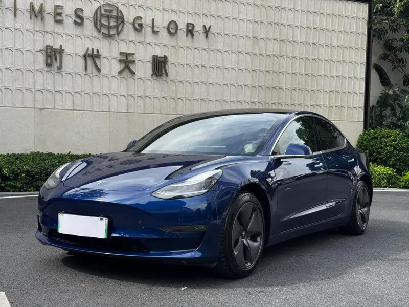 Tesla Model 3 Long Range Edition, 2020 — фото 1