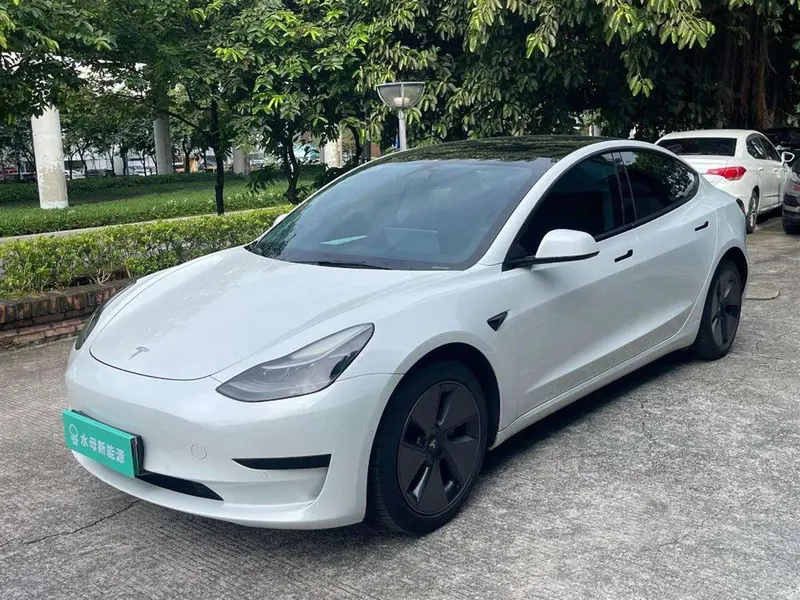 Tesla Model 3 Edition, 2022 — фото 1