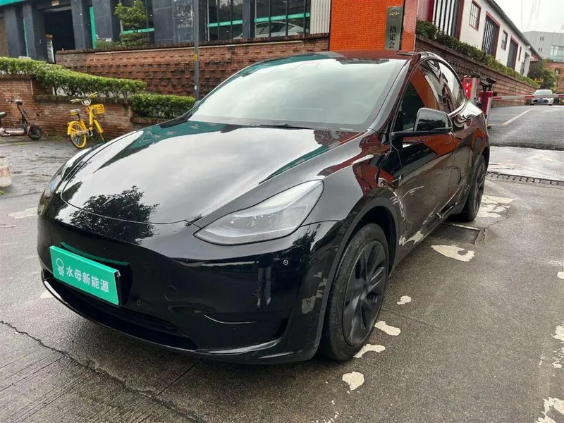 Tesla Model Y Edition, 2023 — фото 1