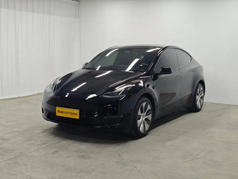 Tesla Model Y Standard Range Edition, 2021 — фото 1