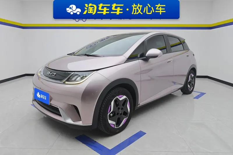 BYD Dolphin Fashion Edition, 2021 — фото 1