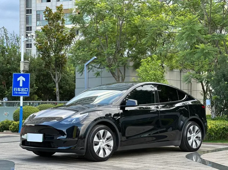 Tesla Model Y Standard Range Edition, 2021 — фото 1