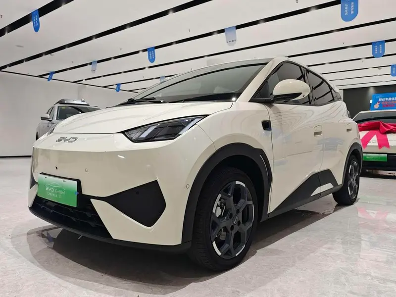 BYD Seagull, 2025