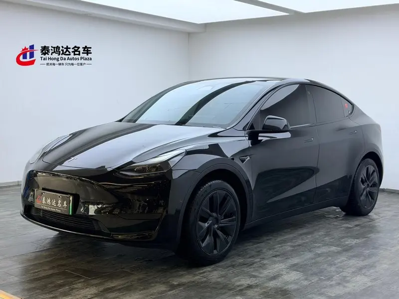 Tesla Model Y Edition, 2023 — фото 1
