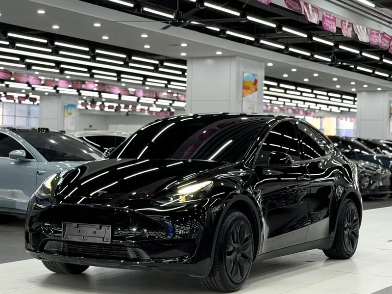 Tesla Model Y Edition, 2024 — фото 1