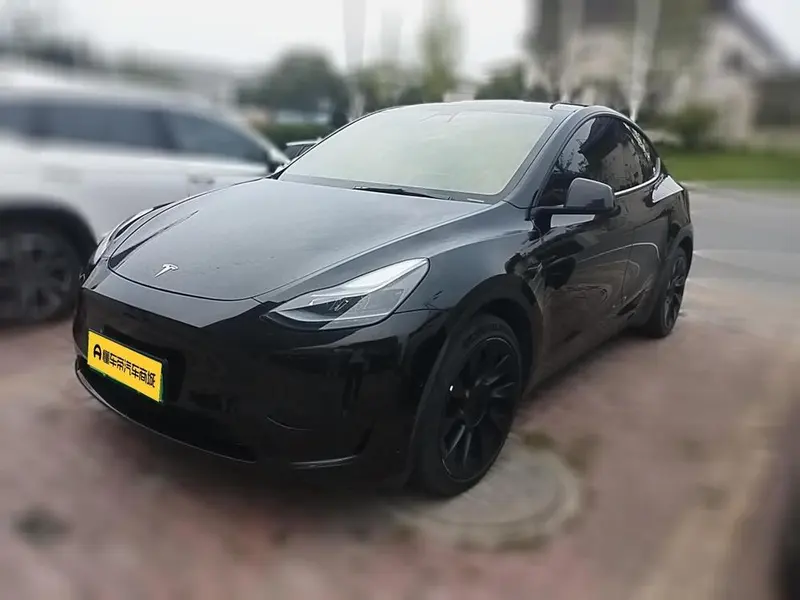 Tesla Model Y Edition, 2022 — фото 1