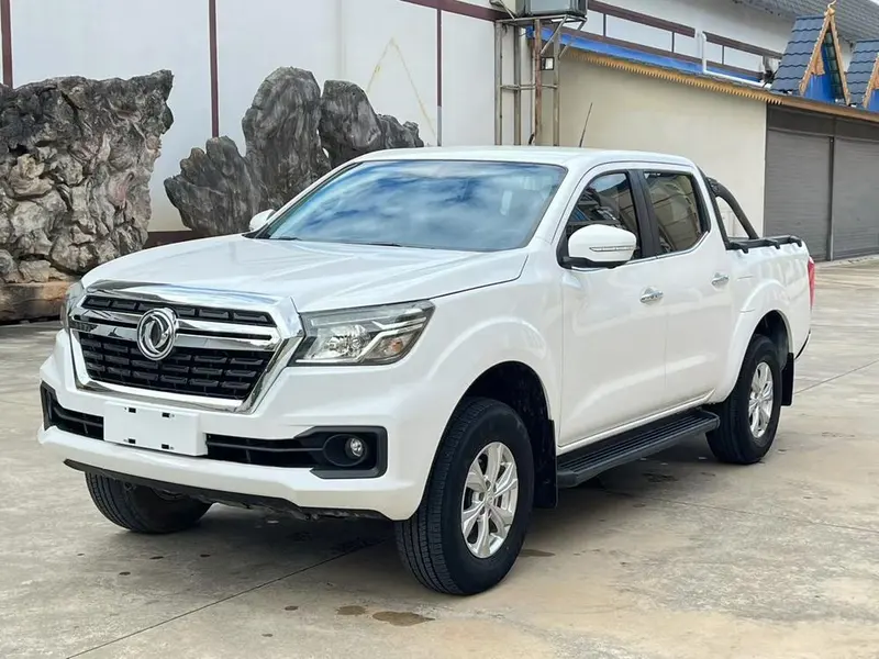 Dongfeng Rich 6, 2023