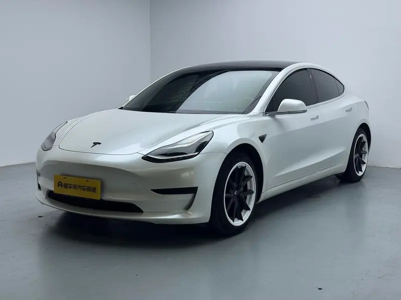 Tesla Model 3 Standard Range RWD Upgraded Edition, 2020 — фото 1