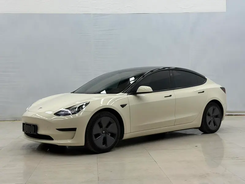 Tesla Model 3 Standard Range RWD Upgraded Edition 3D6, 2021 — фото 1