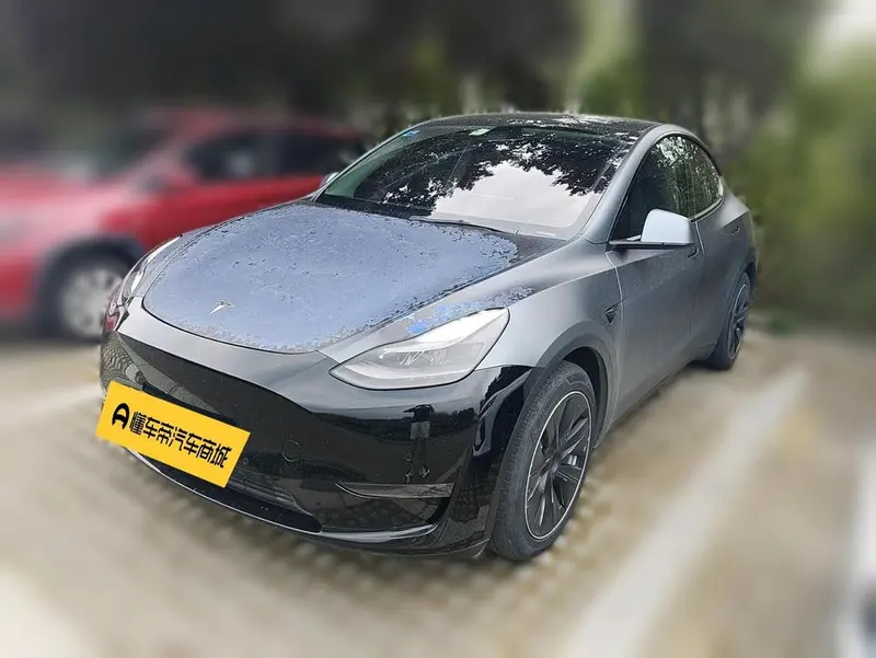 Tesla Model Y Standard Range Edition, 2021 — фото 1