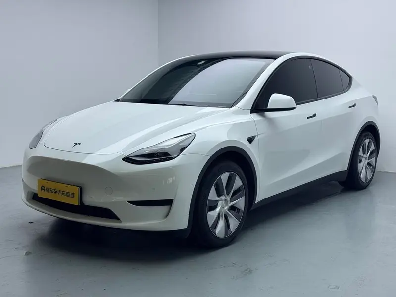 Tesla Model Y Edition, 2022 — фото 1