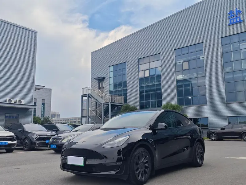 Tesla Model Y Long Range AWD Edition, 2021 — фото 1