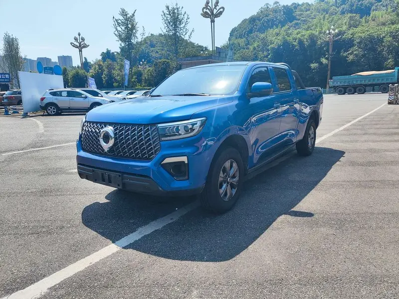 Great Wall Pao Edition 2.0T Diesel Auto 4WD Navigator Version GW4D20M, 2023 — фото 1