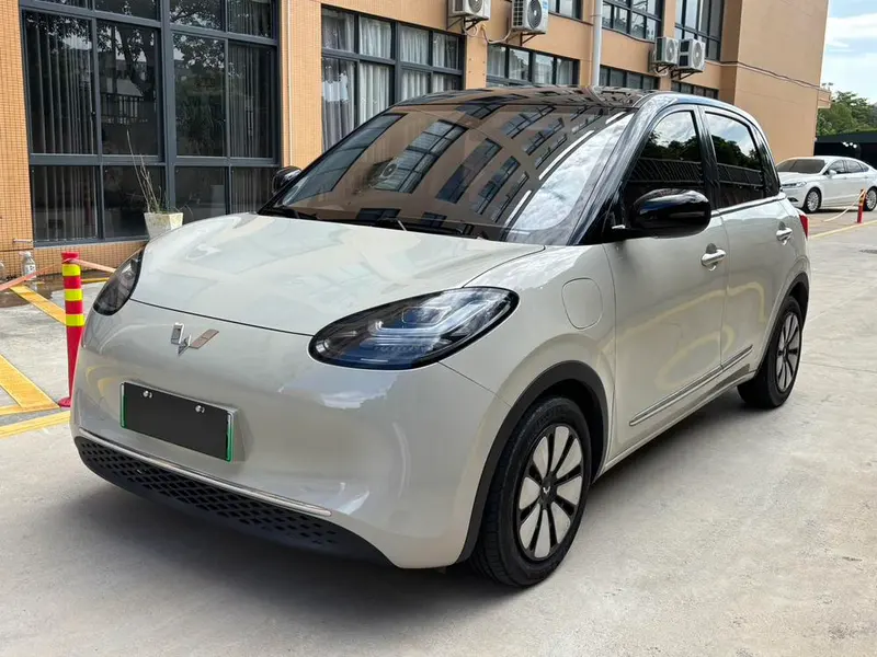 Wuling Bingo, 2023