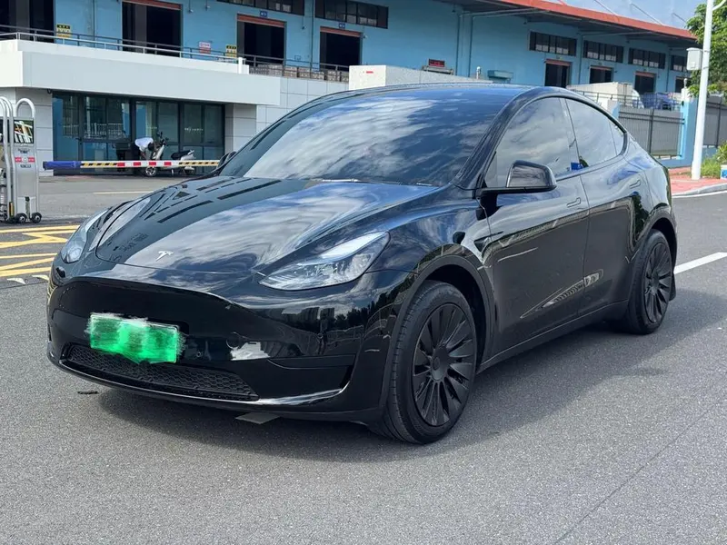 Tesla Model Y Edition, 2024 — фото 1