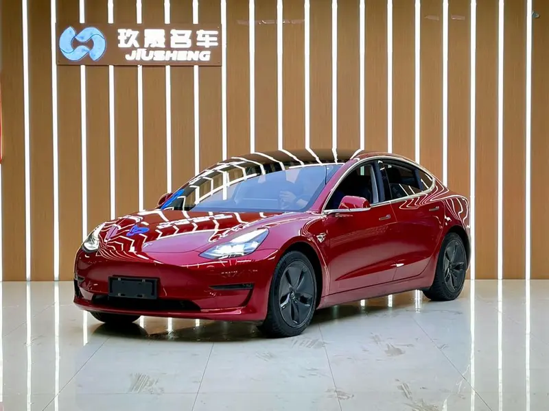 Tesla Model 3 Long Range Edition, 2020 — фото 1