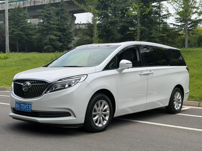 Buick GL8 ES 28T Comfort Version CN5, 2017 — фото 1