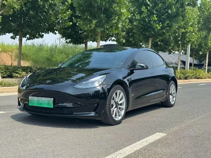 Tesla Model 3 Standard Range RWD Upgraded Edition, 2021 — фото 1