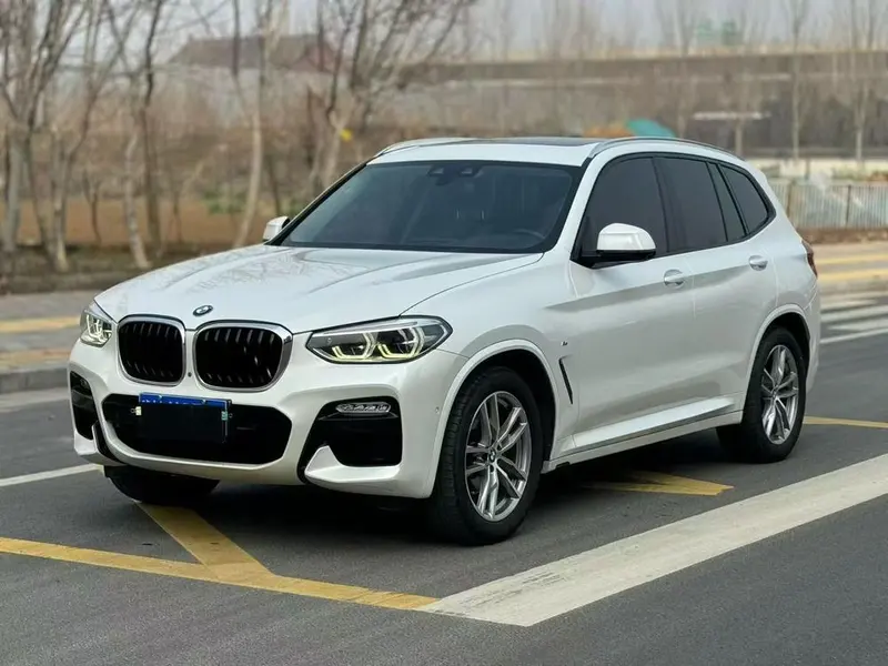 BMW X3 xDrive30i Leading Version M Sport CN6, 2018 — фото 1