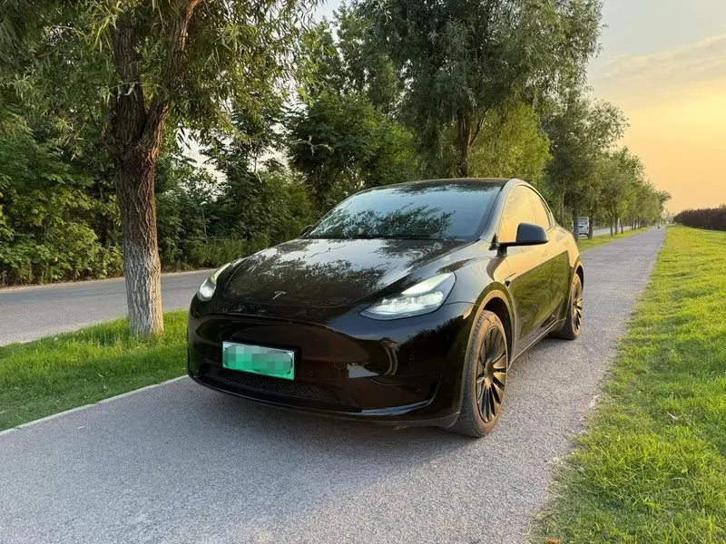 Tesla Model Y Edition, 2022 — фото 1