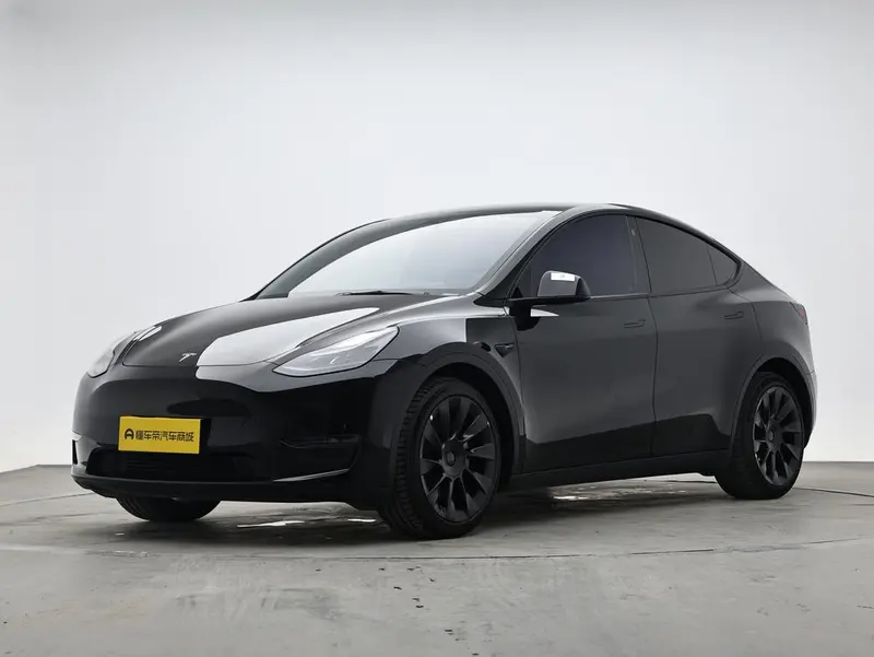 Tesla Model Y Standard Range Edition, 2021 — фото 1