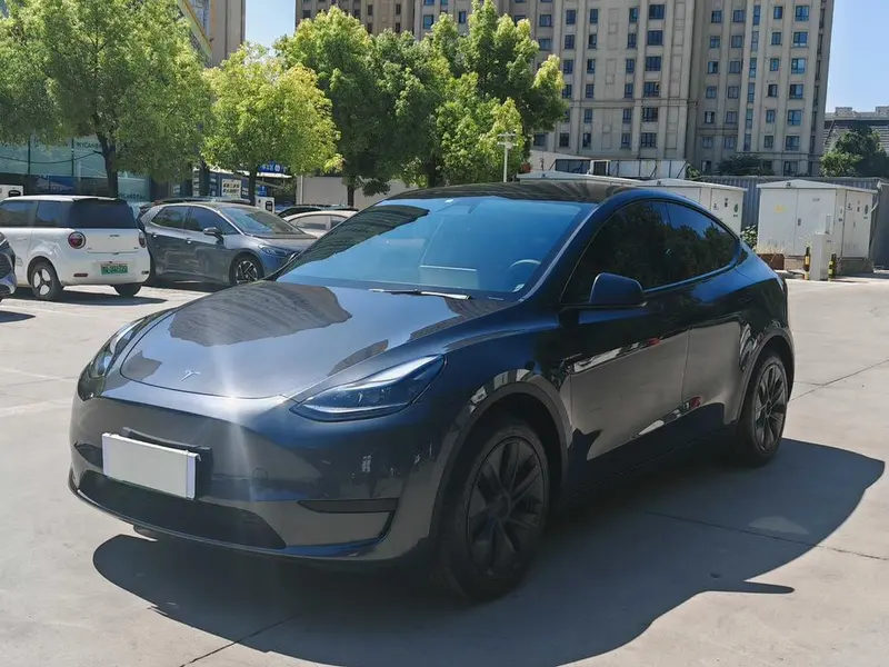 Tesla Model Y Edition, 2024 — фото 1