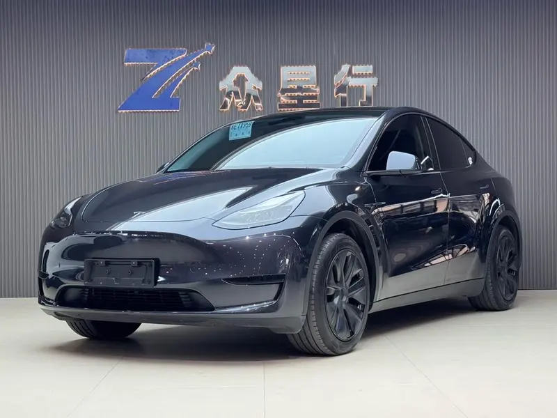 Tesla Model Y Edition, 2024 — фото 1
