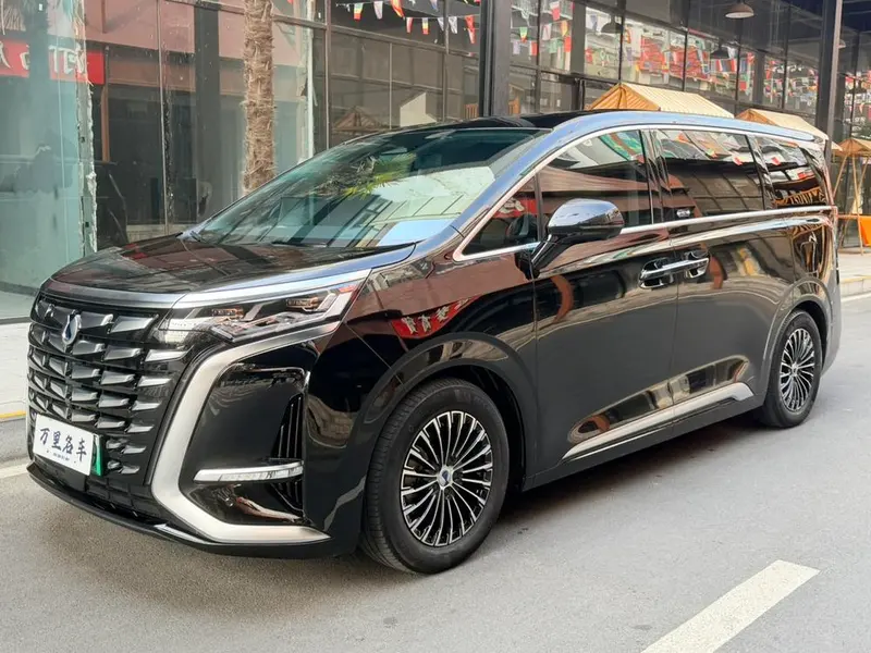 Denza D9 DM, 2024