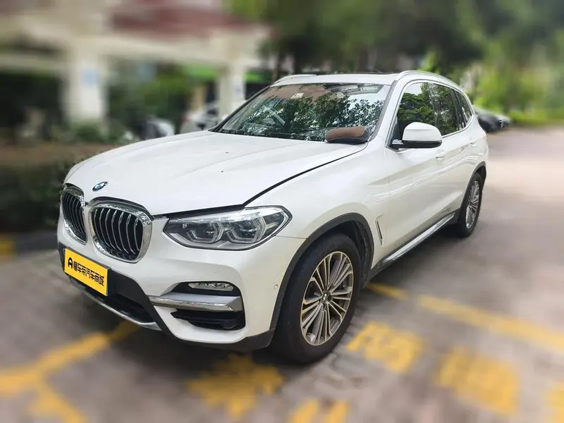 BMW X3 xDrive28i Luxury CN6, 2018 — фото 1