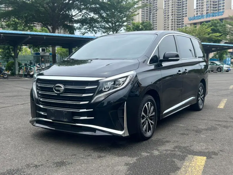 GAC Trumpchi Trumpchi M8 Series 390T Prestige Edition, 2023 — фото 1