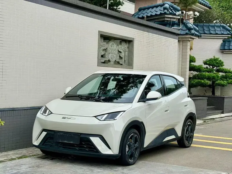 BYD Seagull, 2023