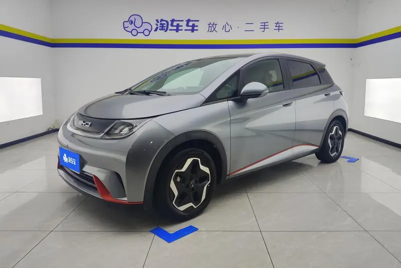 BYD Dolphin Fashion Edition, 2021 — фото 1