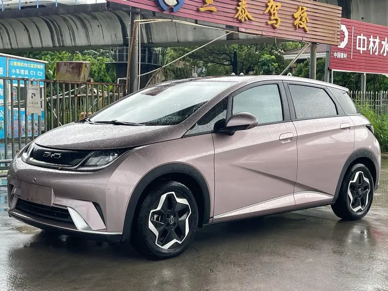 BYD Dolphin Fashion Edition, 2023 — фото 1