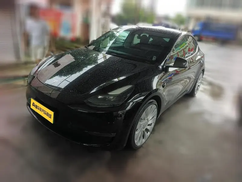 Tesla Model Y Performance High Performance AWD Edition, 2021 — фото 1