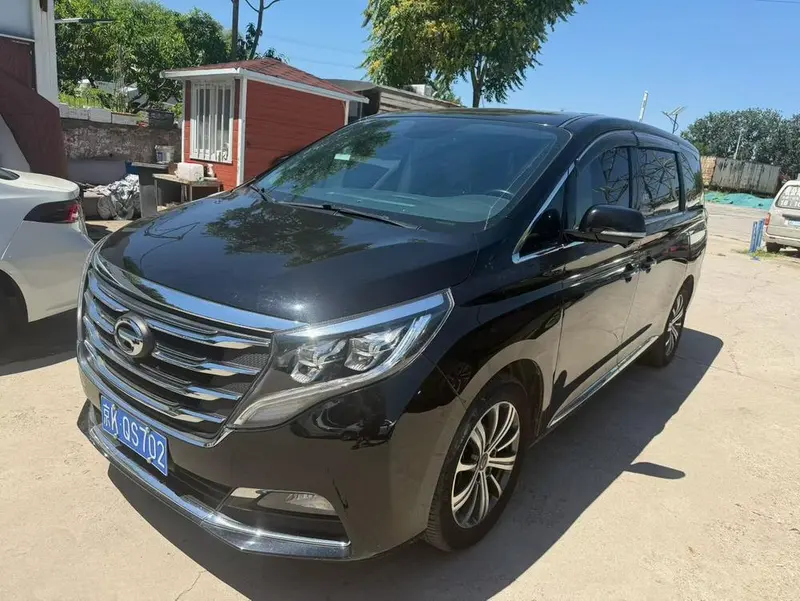 GAC Trumpchi Trumpchi M8 320T Ultimate Edition, 2019 — фото 1