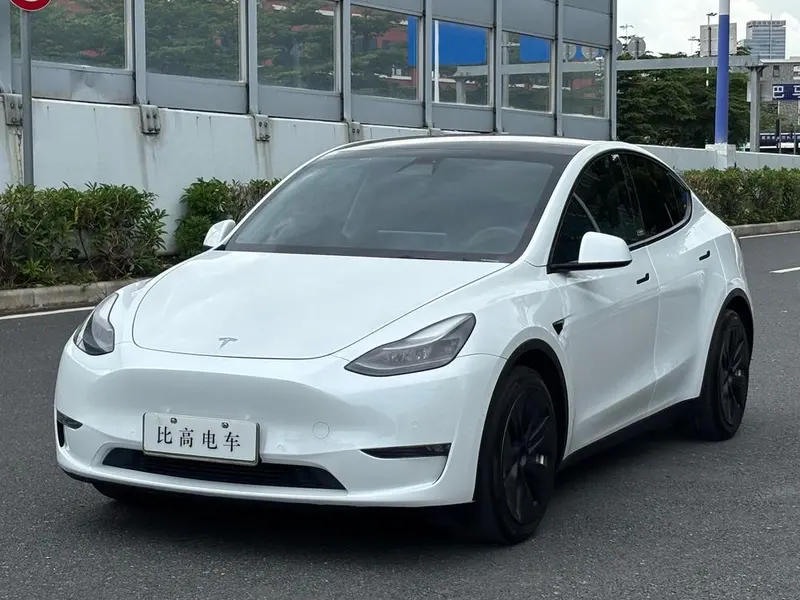 Tesla Model Y Standard Range Edition, 2021 — фото 1
