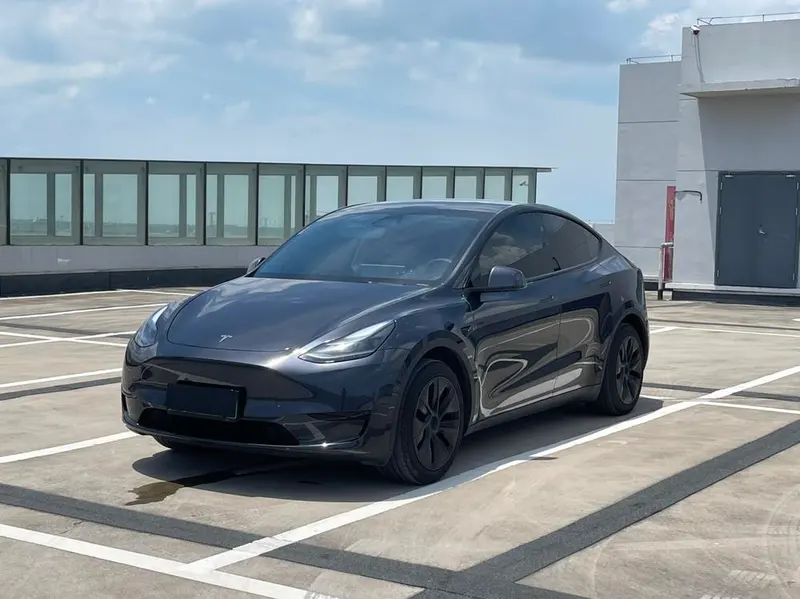 Tesla Model Y Edition, 2024 — фото 1