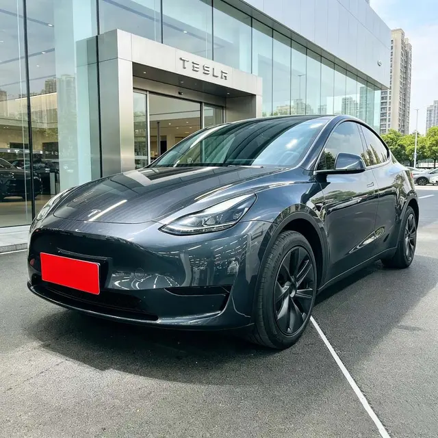 Tesla Model Y Edition, 2024 — фото 1