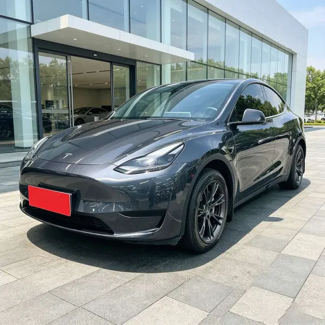 Tesla Model Y Edition, 2024 — фото 1