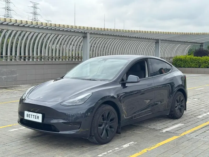Tesla Model Y Edition, 2024 — фото 1