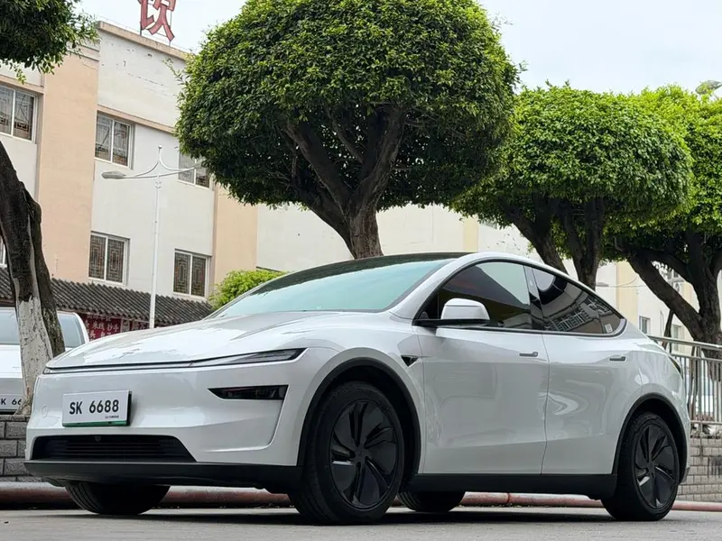 Tesla Model Y Edition, 2025 — фото 1