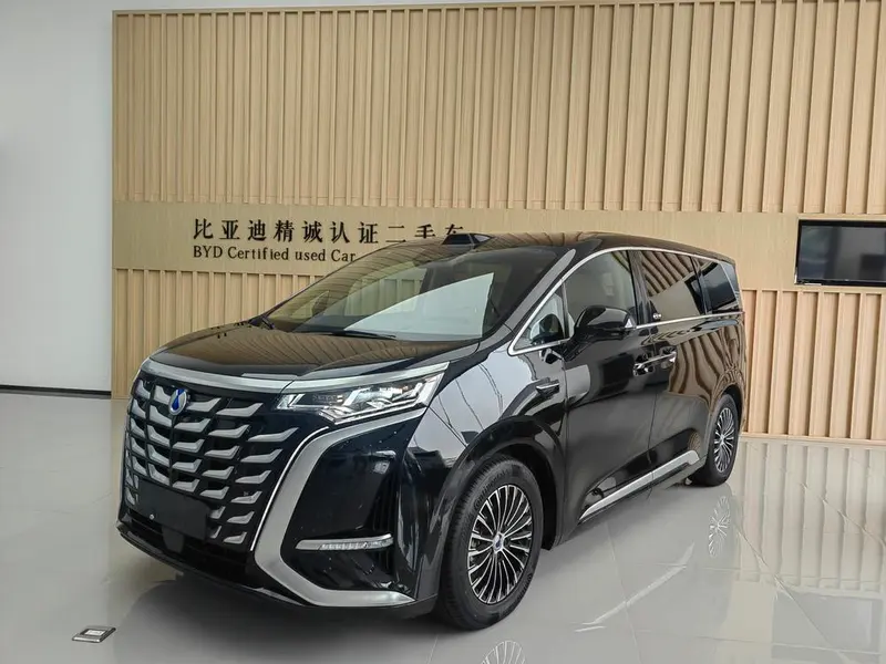Denza D9 DM, 2025