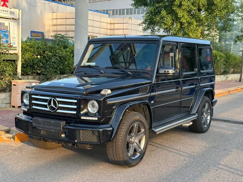 Mercedes-Benz G-Class G 500, 2016 — фото 1